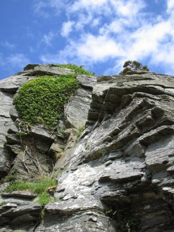 The Valley of the Rocks, Lynton, Devon.