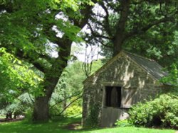 RHS Garden Rosemoor, Great Torrington, Devon Wallpaper