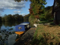 Riverbank at Cliveden, Buckinghamshire Wallpaper