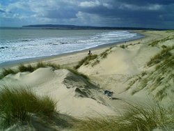 Camber Sands, East Sussex