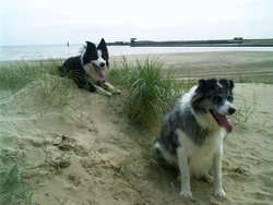 Camber Sands, East Sussex