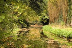 At Anglesey Abbey in Autumn Wallpaper