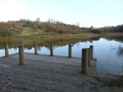 New Lount Nature Reserve, Leicestershire
