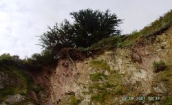 Cliffs, Talland, Cornwall Wallpaper
