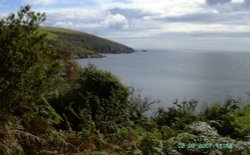 Cliff Walk, Talland, Cornwall