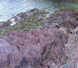 Rocks, Talland, Cornwall Wallpaper