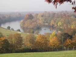 Looking out from Richmond Hill Wallpaper