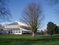 Winter Sunshine Wallpaper