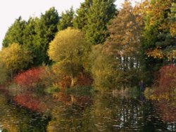 Man fishing at Jubilee Lake, Steeple Claydon, Bucks Wallpaper