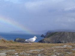 Tintagel, Cornwall Wallpaper
