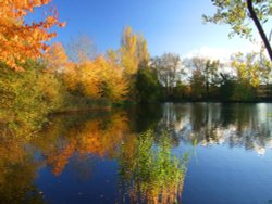 Thatcham Angling Lakes, Berkshire