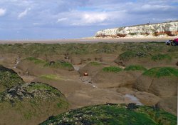 The beach and cliffs at Hunstanton, Norfolk Wallpaper