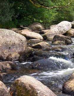 Dartmeet, Devon