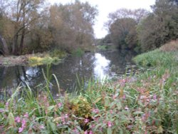 The River Wreake (Rhubarb Island)