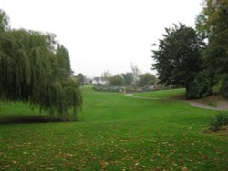 Still in Titchfield Park, Hucknall, Nottinghamshire Wallpaper