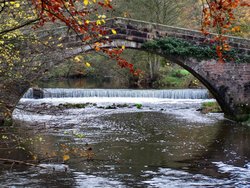 Bridge in Ilam Park, Derbyshire Wallpaper