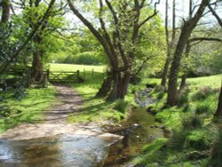 Brook at Dinckley Suspension Bridge, Lancashire.