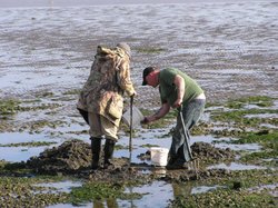 Bait Diggers at Sandbanks, Poole, Dorset
