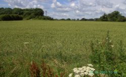 Bure Valley Railway Wallpaper