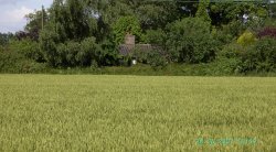 Bure Valley Railway, Norfolk