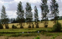 Bure Valley Railway, Norfolk