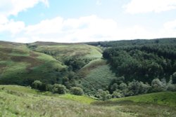 Dunsop Fell, Forest of Bowland, Lancashire