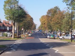 Whitton Avenue Wallpaper