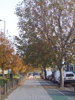 Coronation Road  NW10