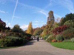 Autumn 2007 Wallpaper