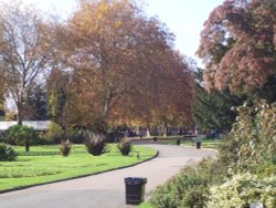 Autumn 2007 Wallpaper