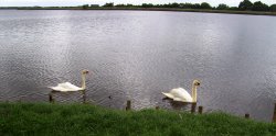 Hickling Broad