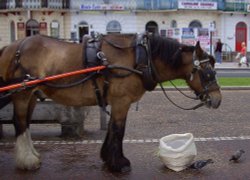 Dinner Time in Great Yarmouth Wallpaper