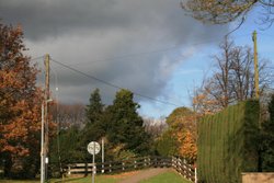 The Little Bridge Wallpaper