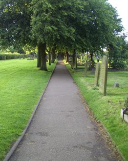 The Path