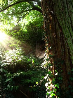 Alum Chine Bournemouth