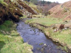 The Goyt Valley in The Peak District Wallpaper