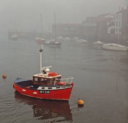 Misty Morning Wallpaper