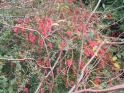 Faringdon, Oxfordshire