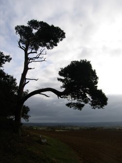 At Faringdon Folly