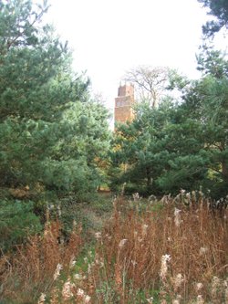 Faringdon Folly