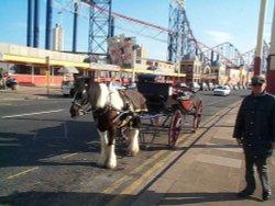 Carriage Ride Wallpaper