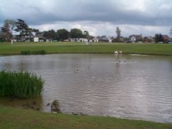 The duck pond at Wrea Green Wallpaper