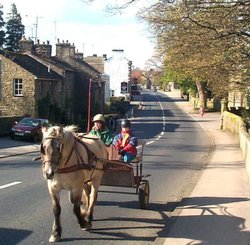 Carriage Ride