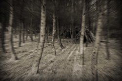 They're after you!!! Wallpaper