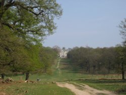 Richmond Park Wallpaper