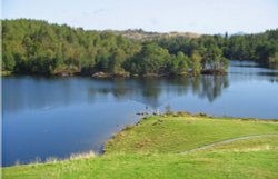Tarn Hows, Coniston, Cumbria Wallpaper
