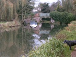 River Wey, Godalming