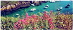 Porthclais harbor, Cardigan