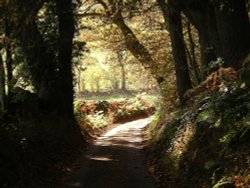 Lane near Lazonby