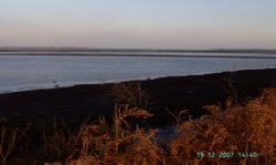 Nature Reserve-Hatfield Chase Wallpaper